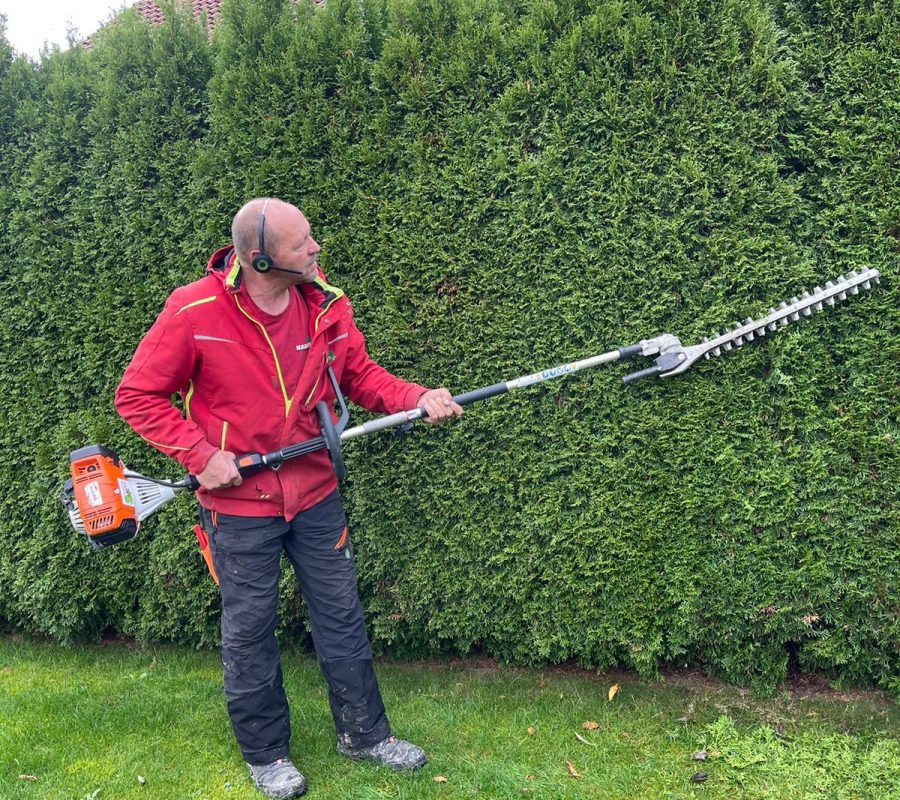 Gartenpflege in Dietmansried, Gartenbau, Poolpflege, Hecke schneiden, Teichreinigung